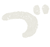 Hiragana Japanese syllabary paint characters