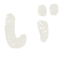 Hiragana Japanese syllabary paint characters