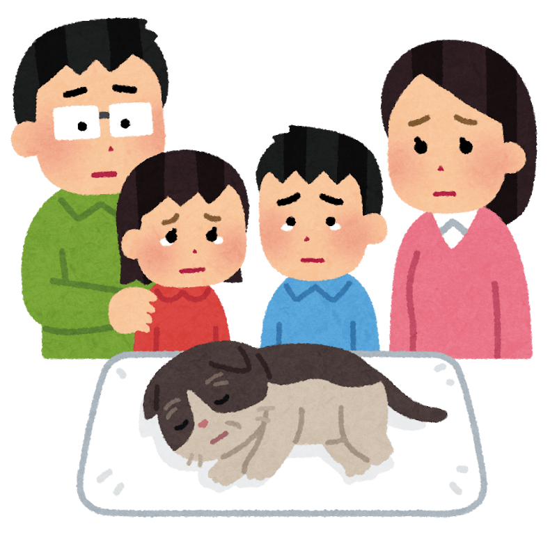 Family caring for a pet cat