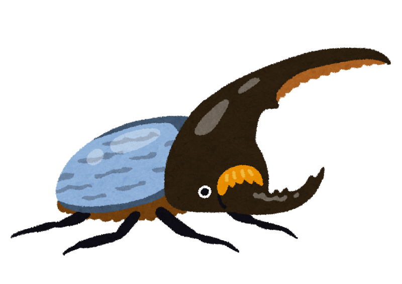 Blue Hercules Beetle