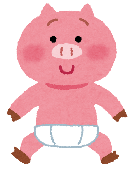 Baby pig