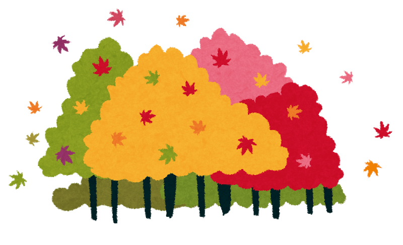 Autumn leaves (autumn leaves forest)