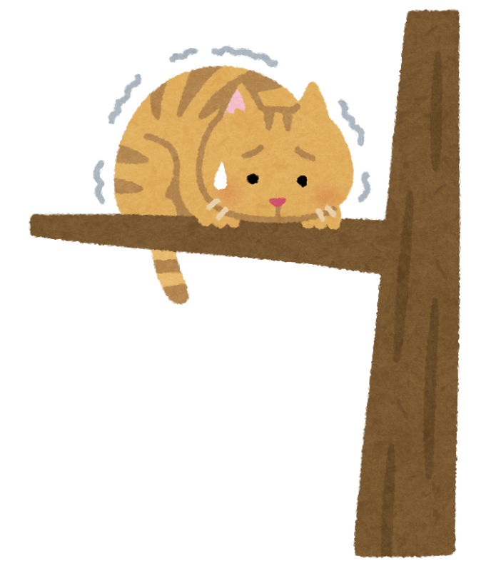 Cat that cannot get off from a high place