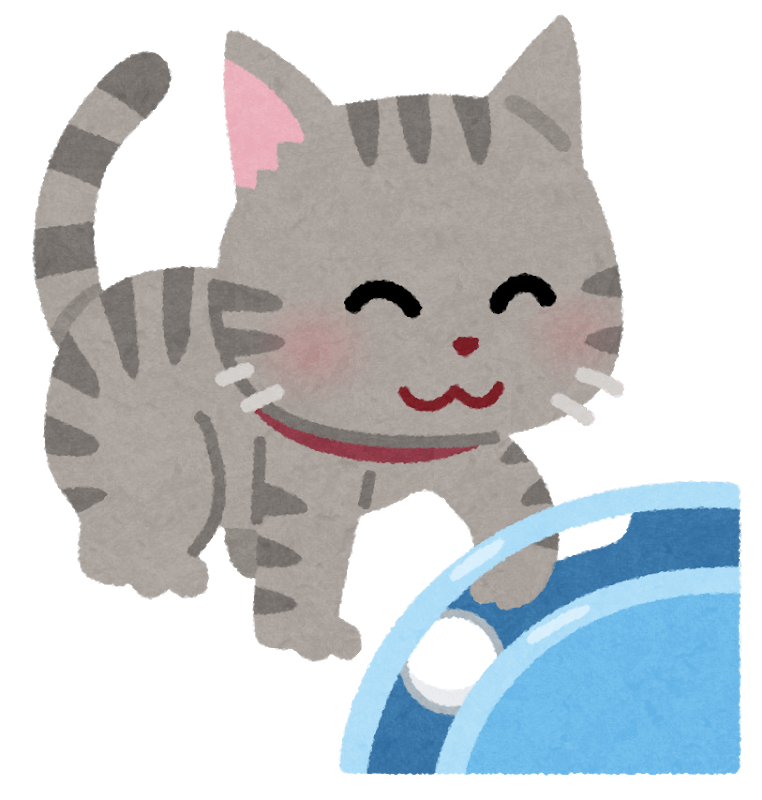 Cat playing with toys