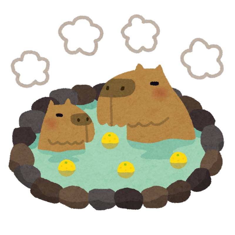 Capybara entering the hot spring