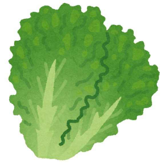 Green lettuce