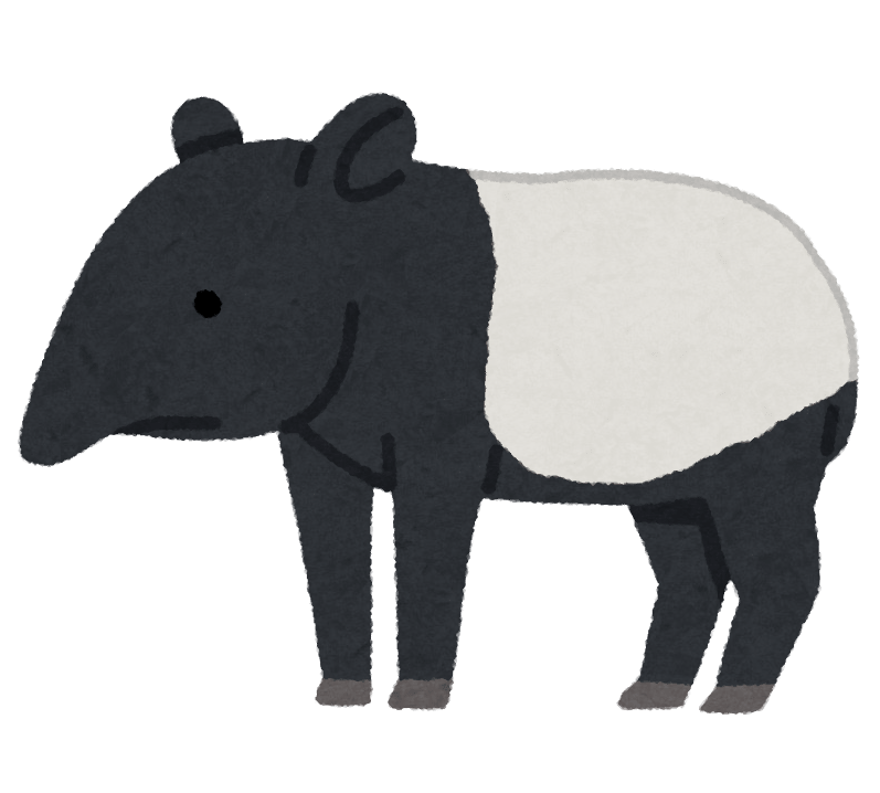 Malayan tapir
