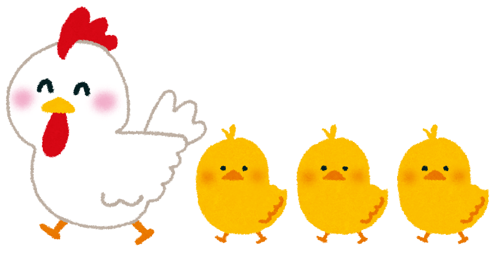 March of chickens and chicks