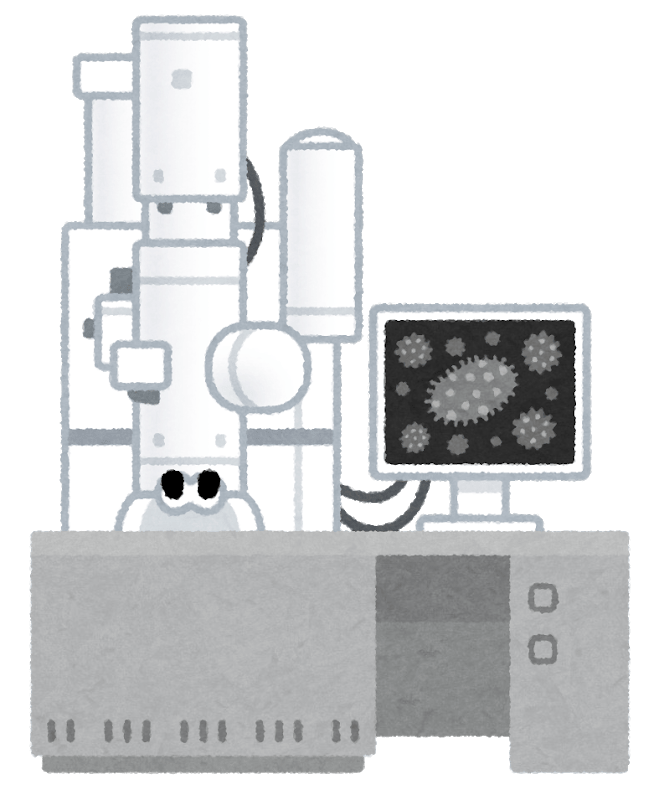 Transmission electron microscope