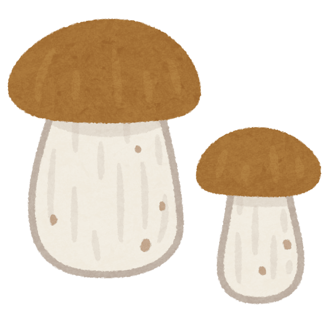 Porcini (mushroom)