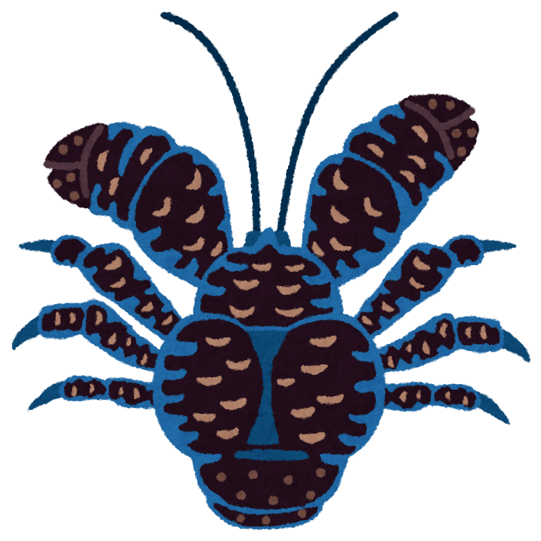 Coconut crab