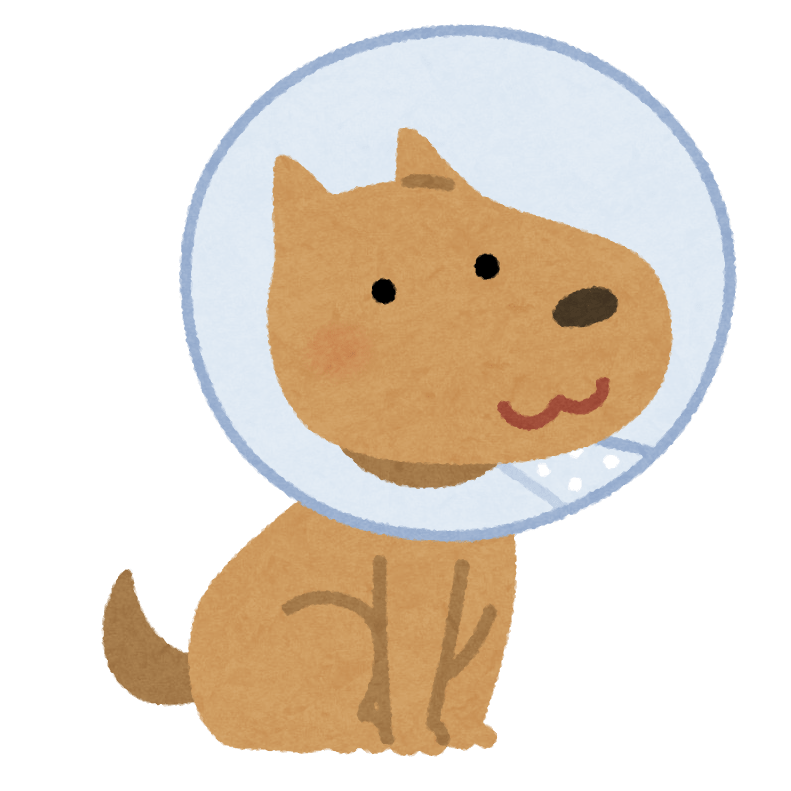 Dog with Elizabethan collar