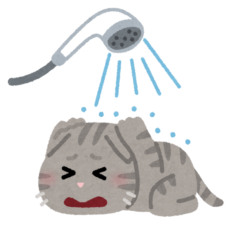 Cat that hates the bath