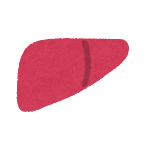 Various internal organ icons