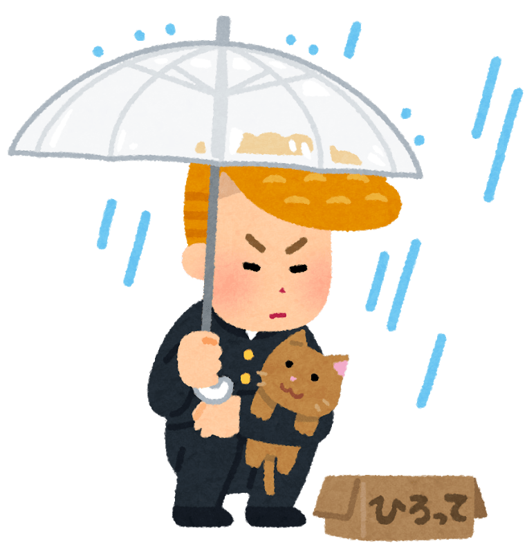 Bad picking up abandoned cat