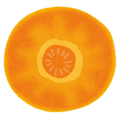 Cross section of carrot