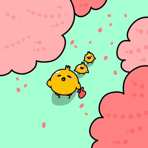 Chick looking up at the cherry blossoms