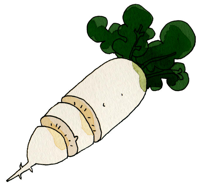 Japanese radish