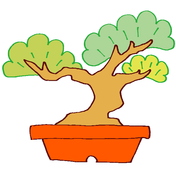 Bonsai with a thick trunk