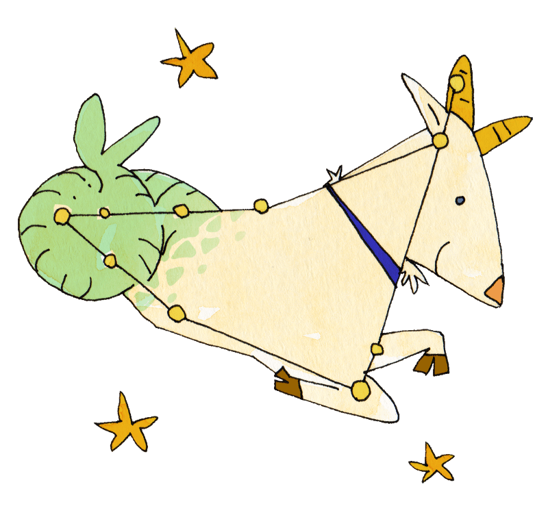 Capricorn