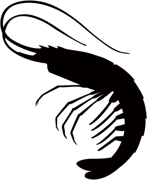 Silhouette of shrimp