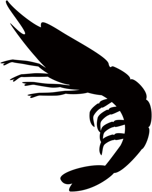 Silhouette of shrimp