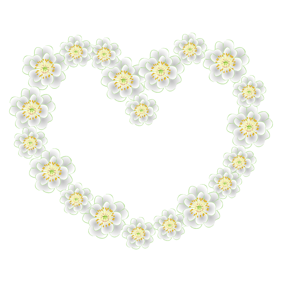 Heart mark of white flower