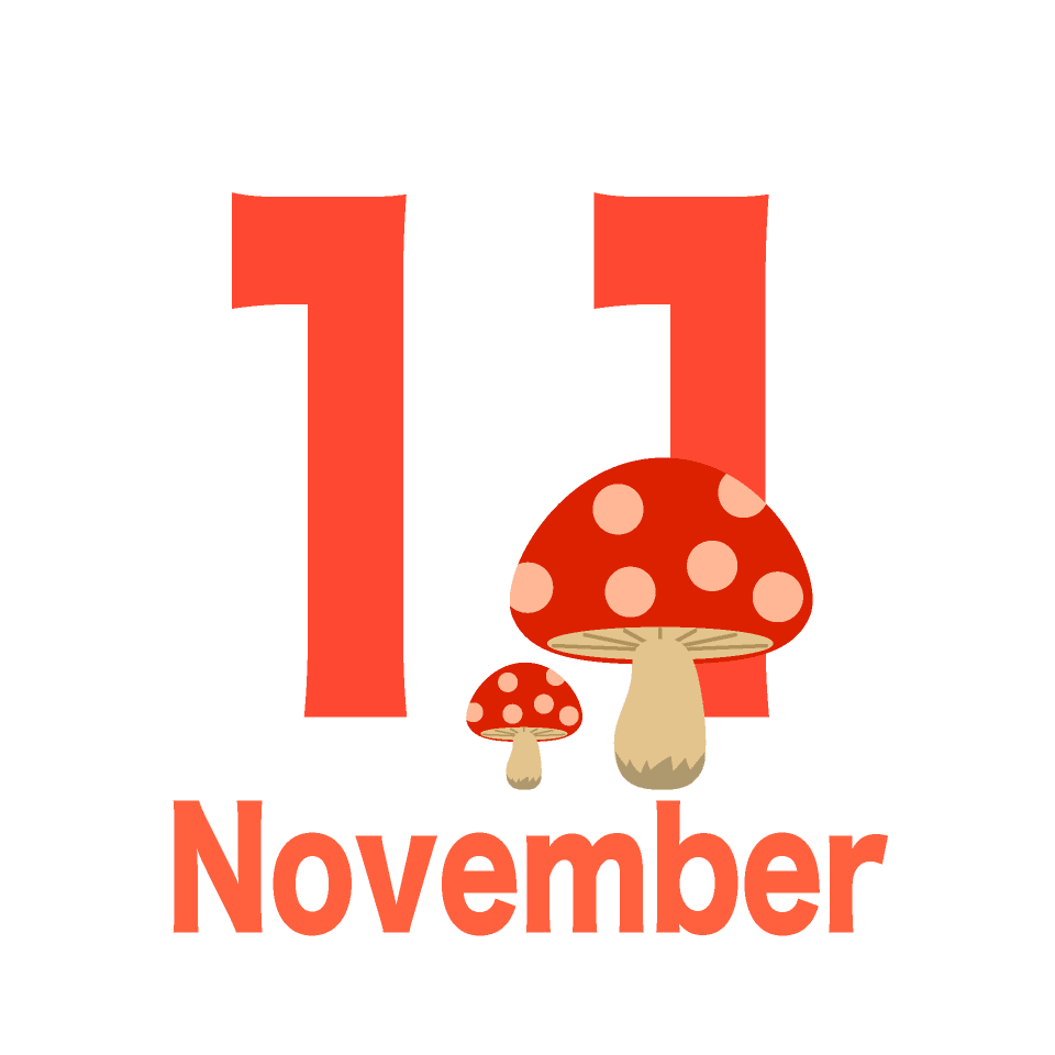 November (mushroom)