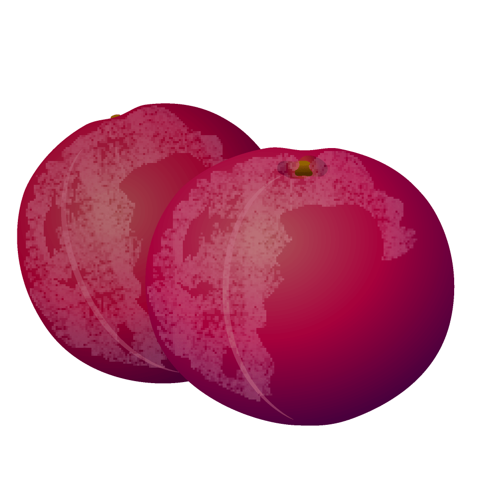 Plum