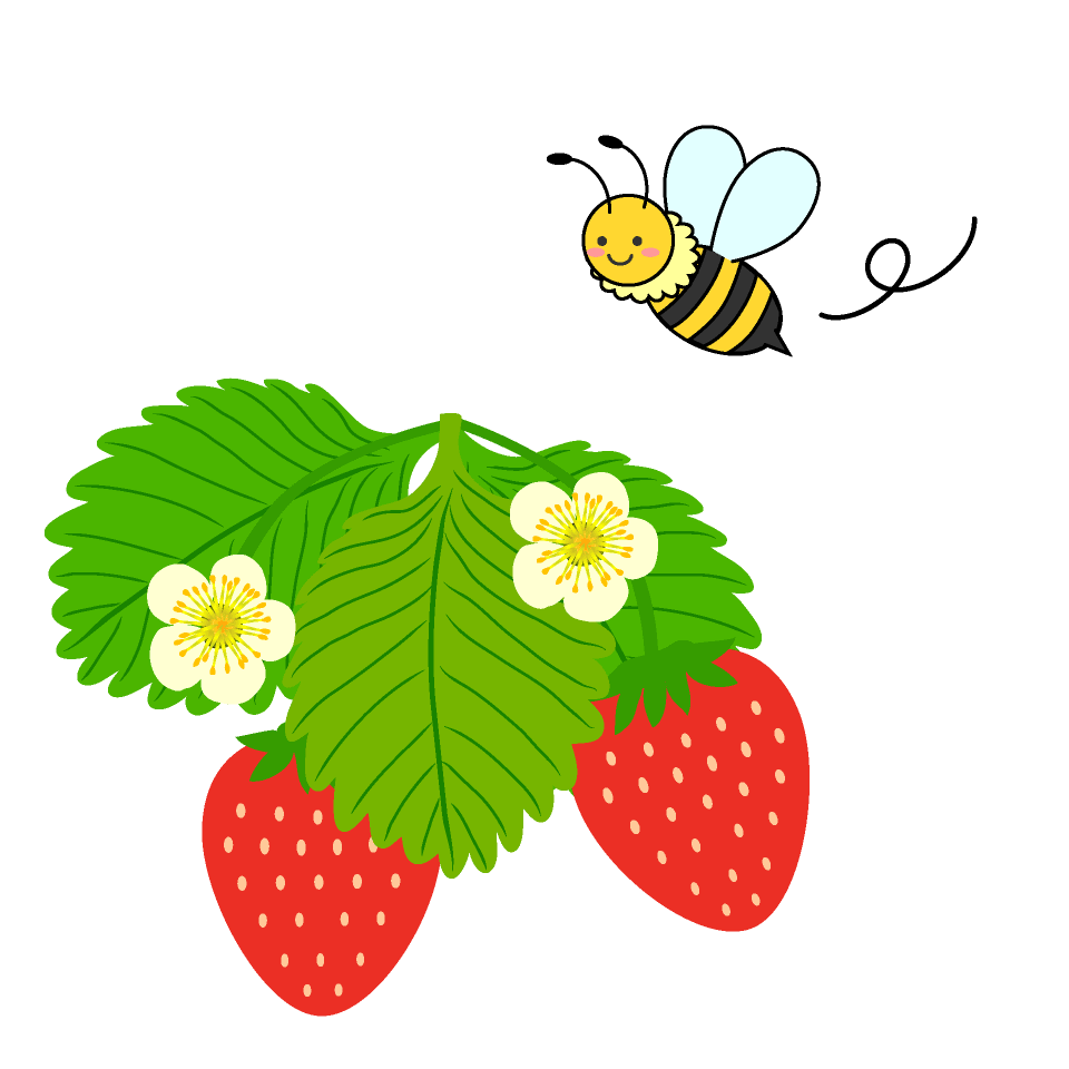 Bees and strawberries