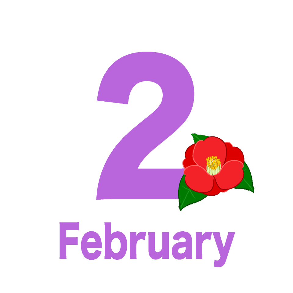 February (camellia flower)