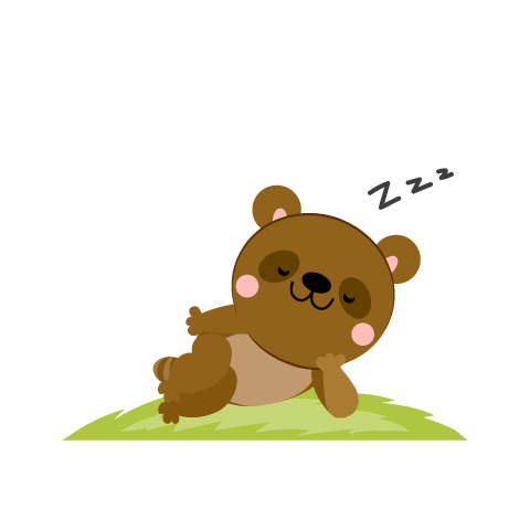 Raccoon dog doze