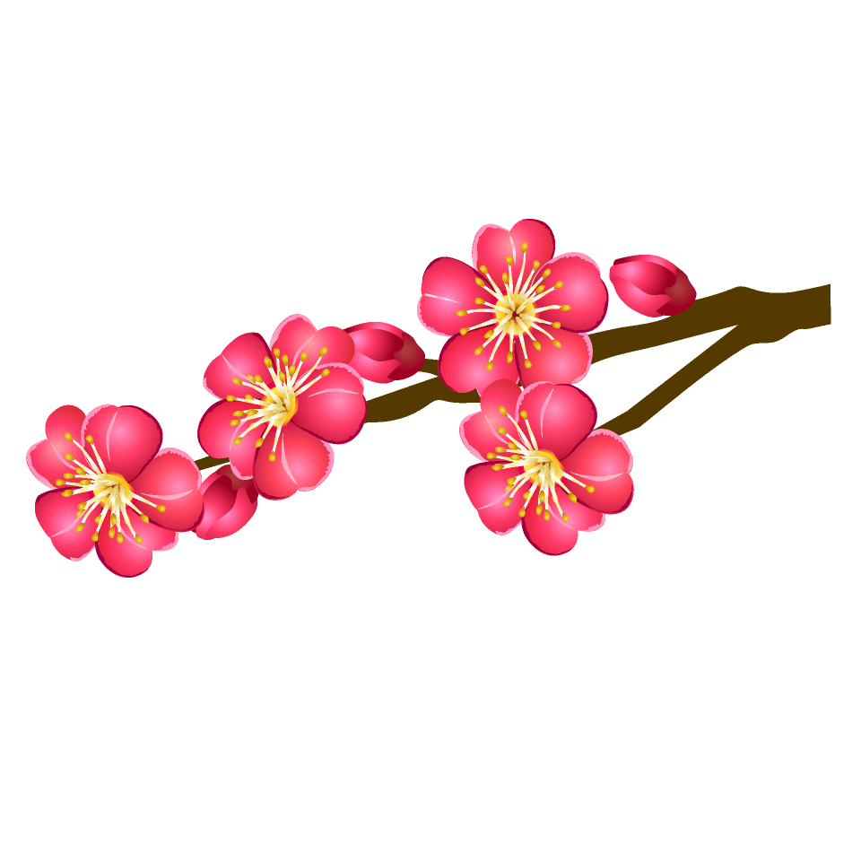 Plum blossoms blooming on tree branches