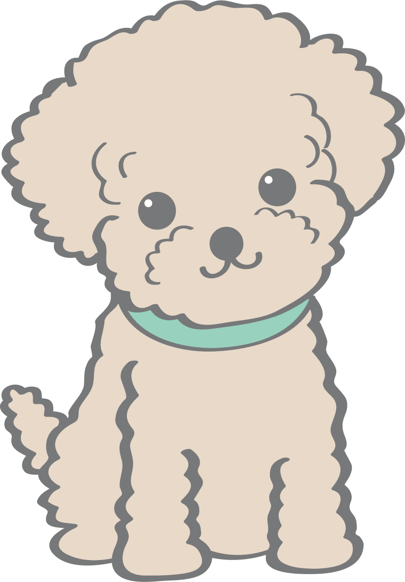 Cute Toy Poodle (sitting-sitting) dog