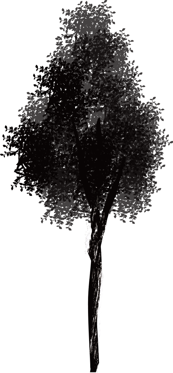 Cool, thin and urban tree