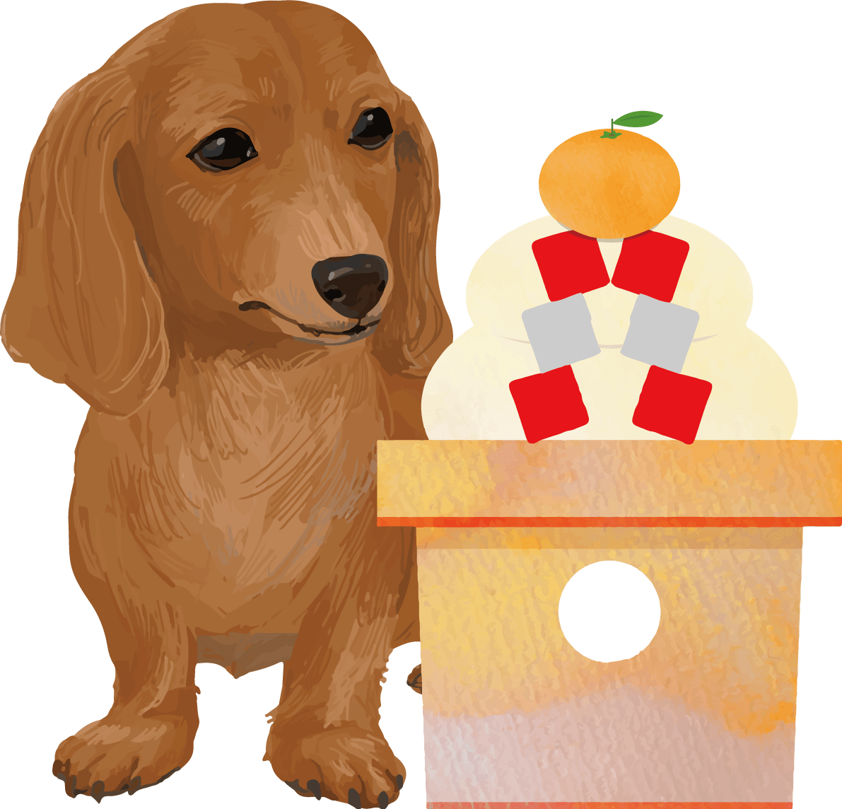 Miniature-Dachshund Dog-Kagami Mochi-Year 2018 Zodiac