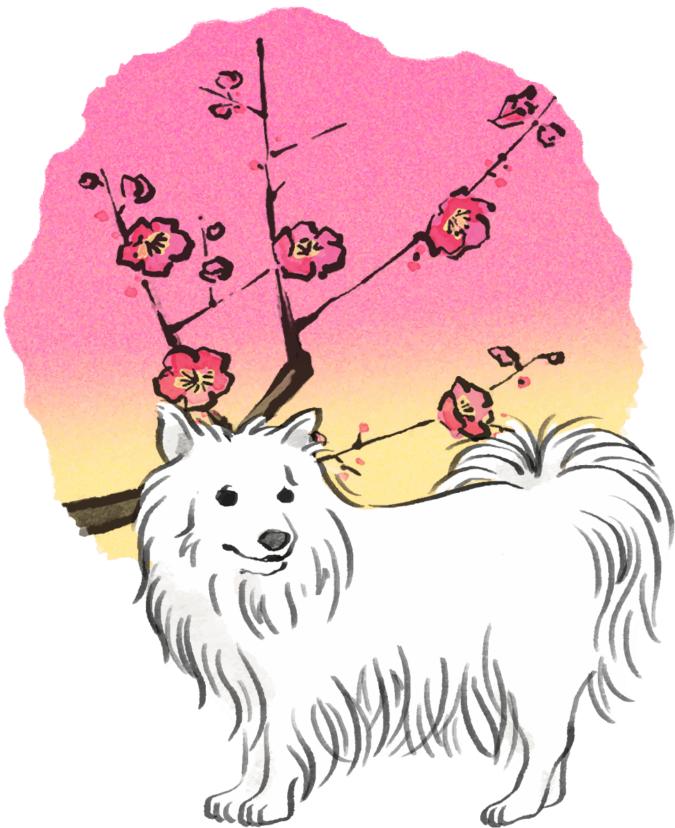 Year of the dog-Japanese Spitz Japanese style (plum) 2018 Zodiac illustration-sideways