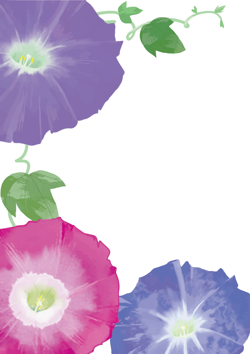 Fashionable and large morning glory frame frame