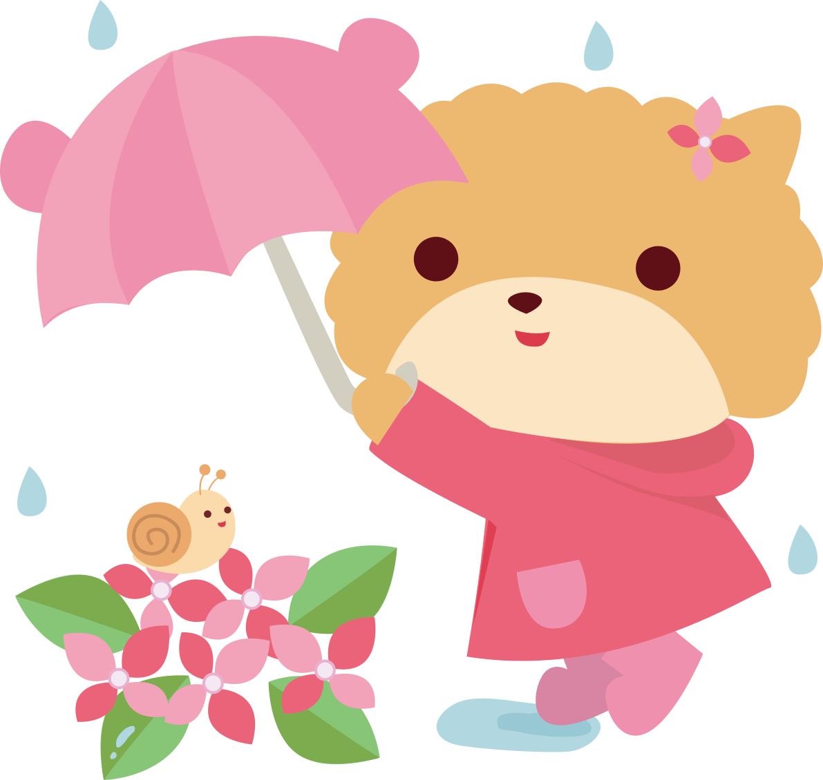 Pomeranian (dog) rainy season-umbrella-cute animal