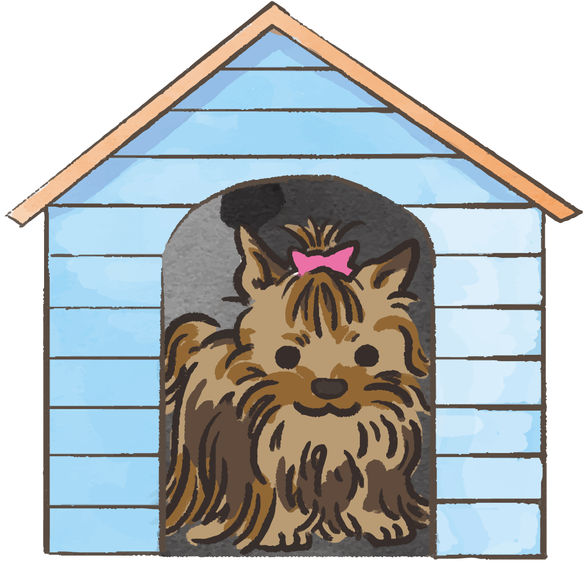 Yorkshire terrier (kennel) Cute dog