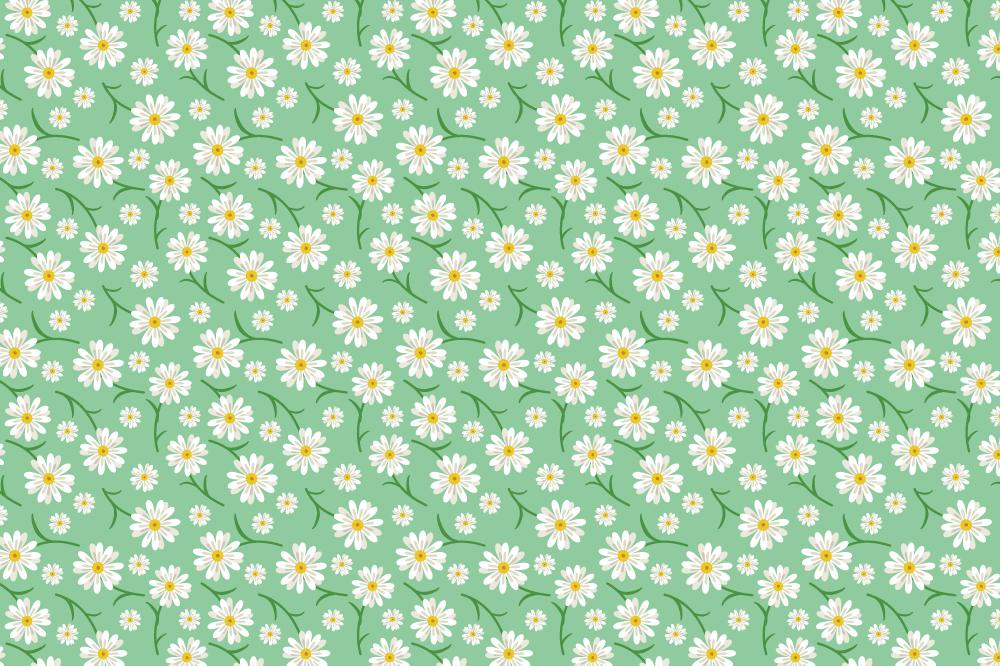 Daisy floral background (green-green) Illustration-Spring