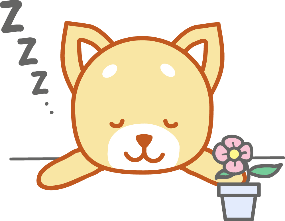 Sleeping Shiba Inu-Dog