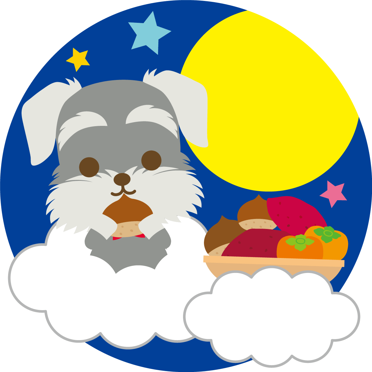Miniature-Schnauzer (dog) 15 nights (Kudamono) animal