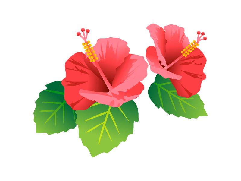 Red hibiscus material