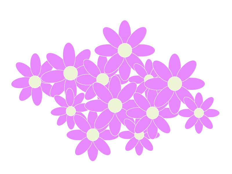 Many purple florets