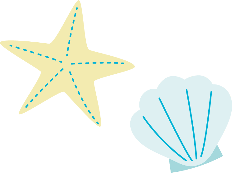 Starfish and scallop shell