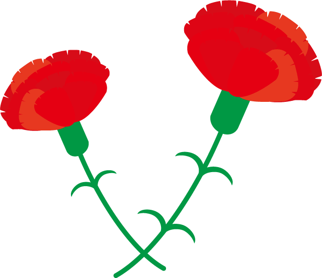 Mother's Day-Two-wheeled carnation