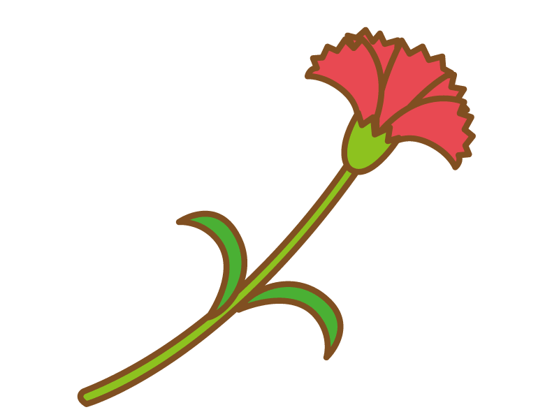 Simple red carnation