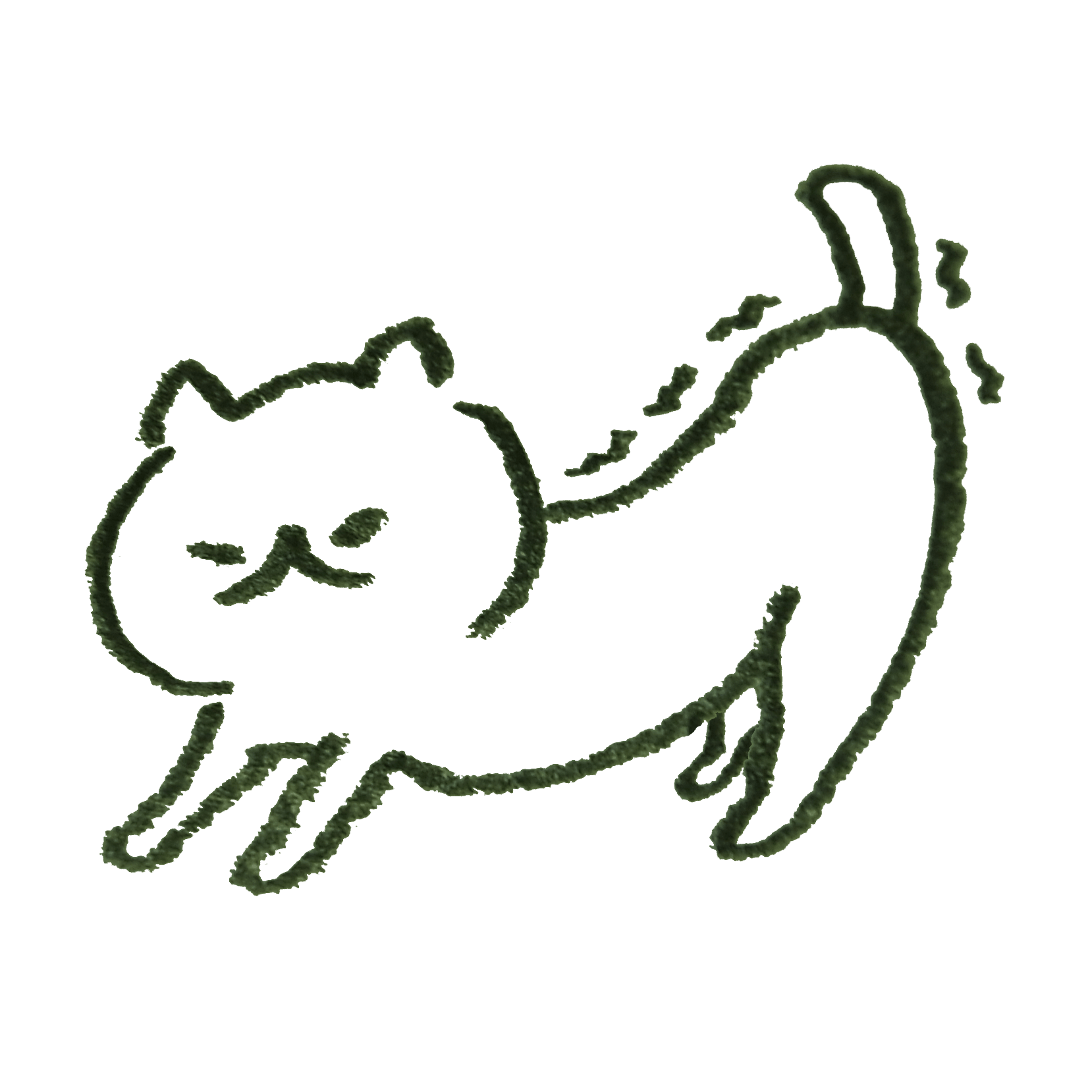 Cat stretching to wake up