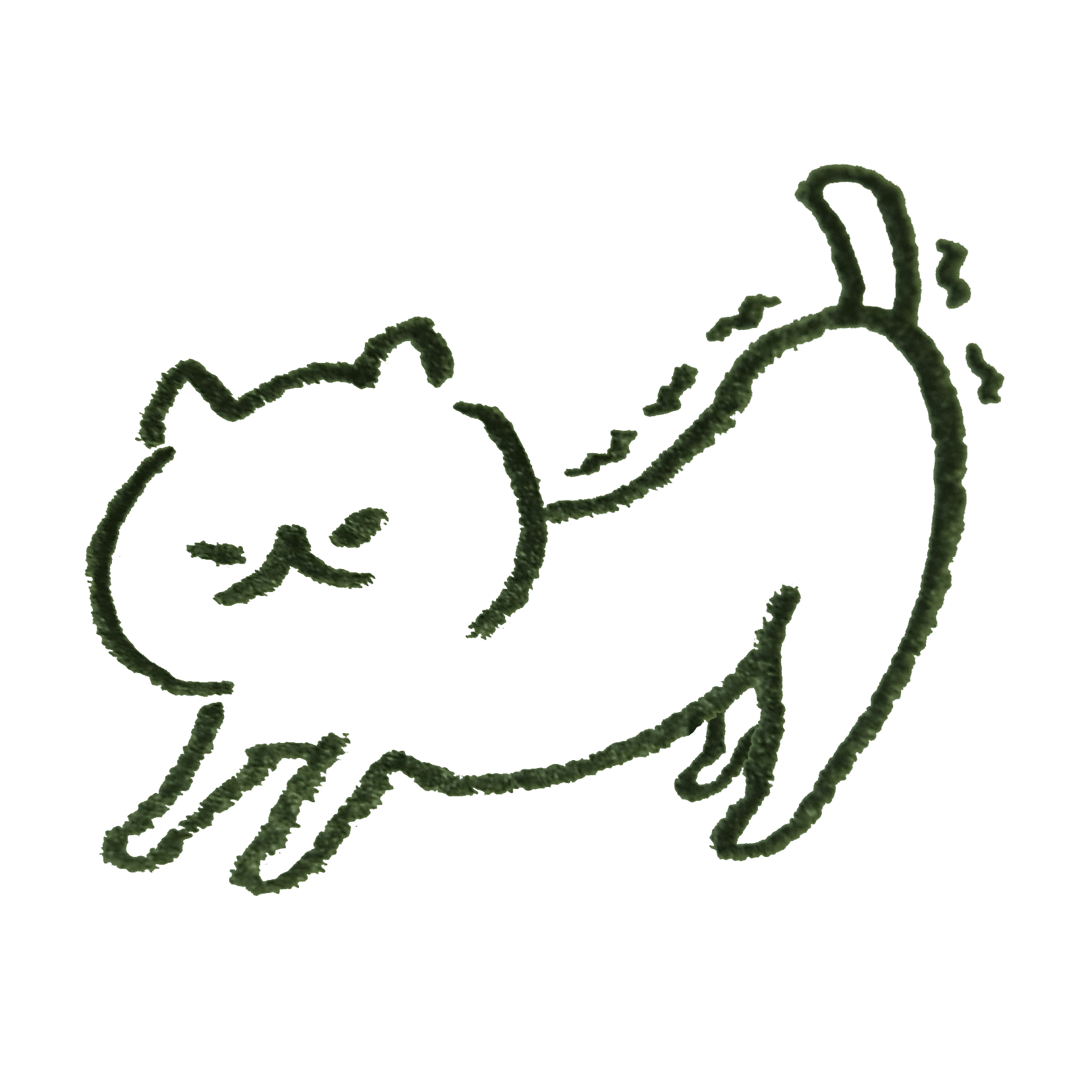 Cat stretching to wake up